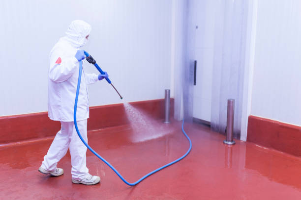 Best Driveway Pressure Washing  in Double Springs, AL
